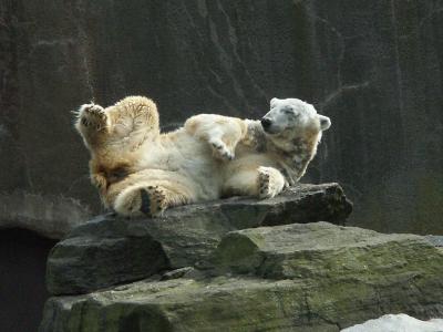 PICT0328.JPG