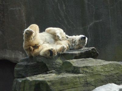 PICT0330.JPG