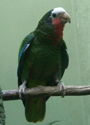 PICT0886.JPG