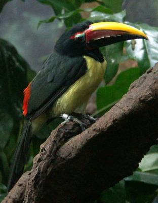 PICT0888.JPG