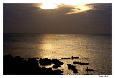 Golden Sunset.jpg
