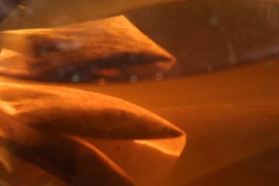 tea bag