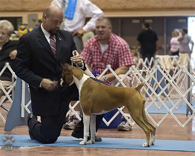 corpus_christi_kennel_club