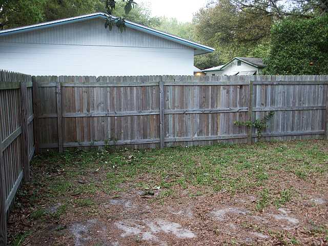 Backyard 1.jpg