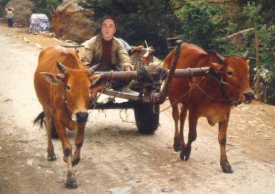 AdamD-OxCart_WEB.jpg