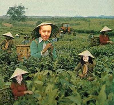 Little Saigon and the Lucky Bamboo Fire Club