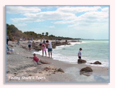 u41/rattler/medium/26736645.SBeach.jpg