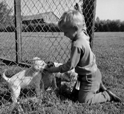 shane-and-puppies-2.jpg