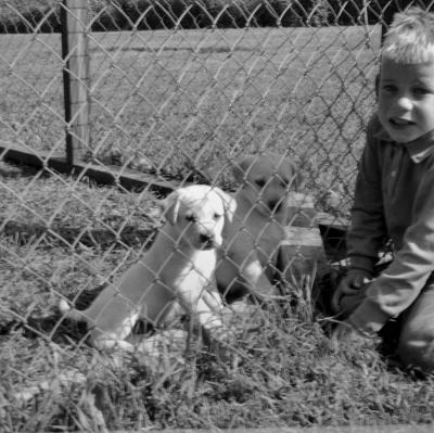 shane-and-puppies.jpg