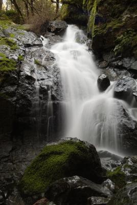 Mount Tam State Park1.jpg
