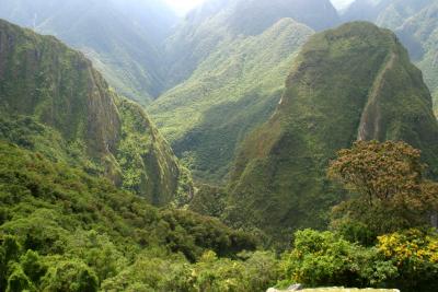 Lush Surroundings at MP's Entrance.jpg