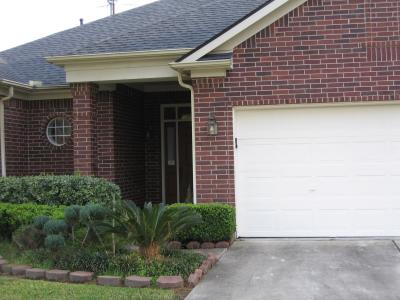 Front door and plants