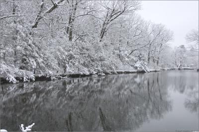 Winter Water Reflections Framed.jpg