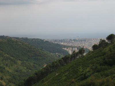 sm_140_4024.jpg
