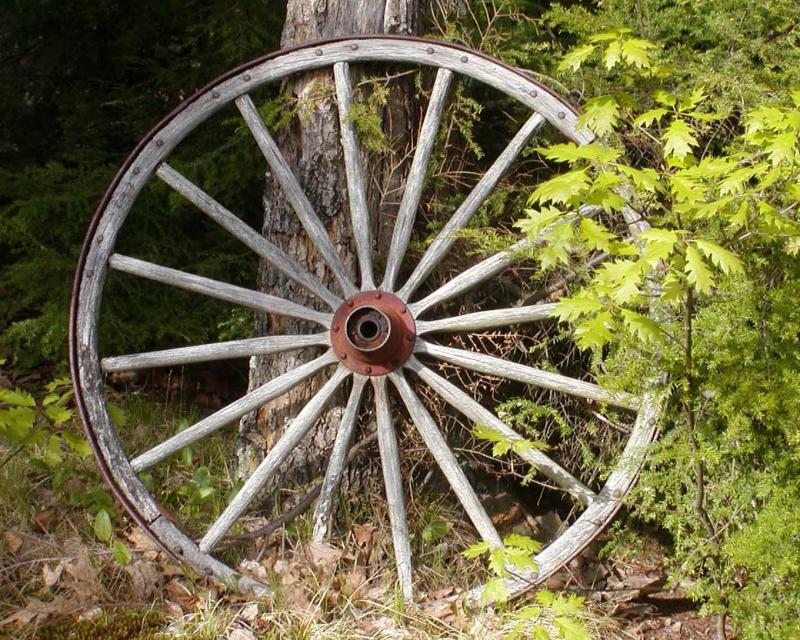 Cath's Wheel