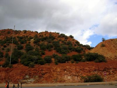 IMG_3504.jpg