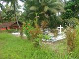 Church and graveyard