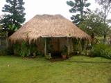 Elder Ruminitss House