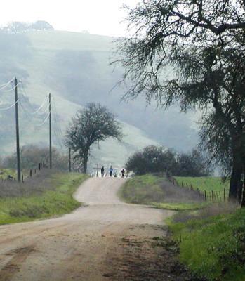 Country walk