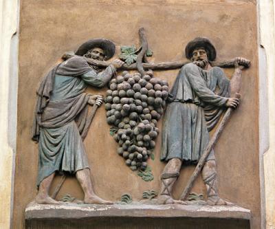 The grape carriers