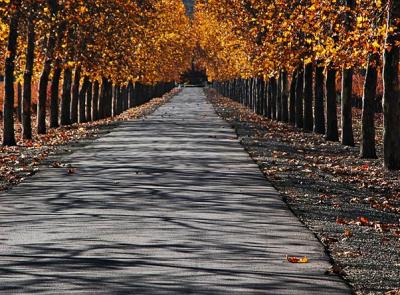 To the winery