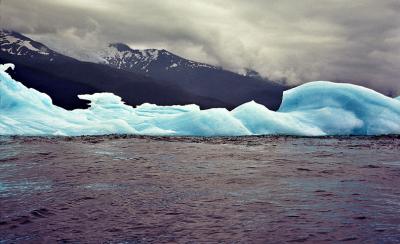 Iceberg in Tracy Arm