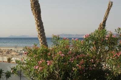 View of the Red Sea