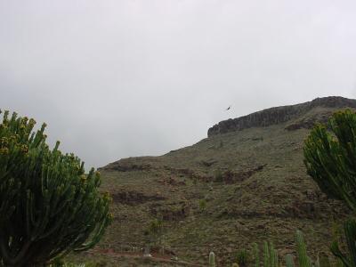 DSC03677.jpg