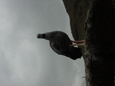 DSC03684.jpg