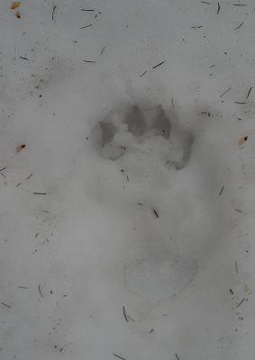 CRW_7316pf.jpg