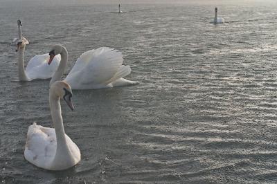 CRW_7510pf.jpg