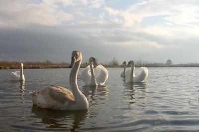 CRW_7533pf.jpg