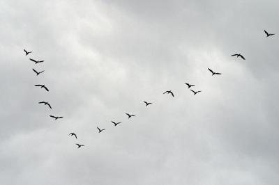 CRW_7588pf.jpg