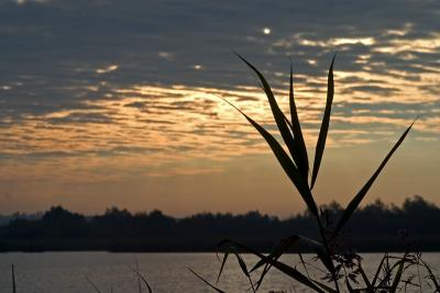 CRW_0449_800.jpg