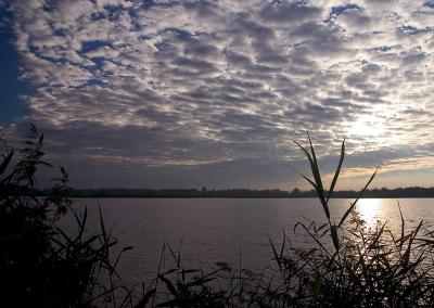 CRW_0466_800.jpg