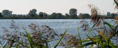 CRW_0609_800.jpg