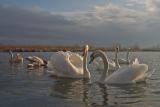 CRW_7551pf.jpg