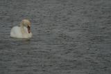 CRW_7573pf.jpg