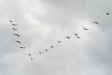 CRW_7588pf.jpg