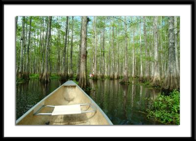 canoe2.jpg