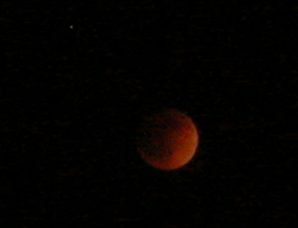 tut_95