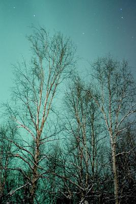 feb_7_2005