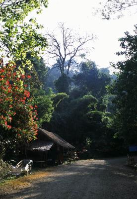 Walk To The Waterfall