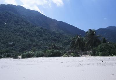 The Only Hotel On This Beach (Jungle Beach)