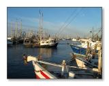 <b>Shrimp Boats</b><br><font size=2>Pass Christian, MS