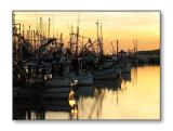 <b>Shrimp Boats</b><br><font size=2>Pass Christian, MS