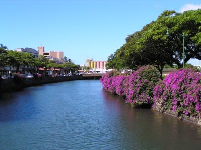 Nuuanu River