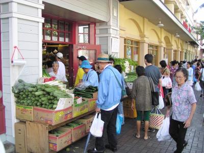 Vegetable Shoppers Delight