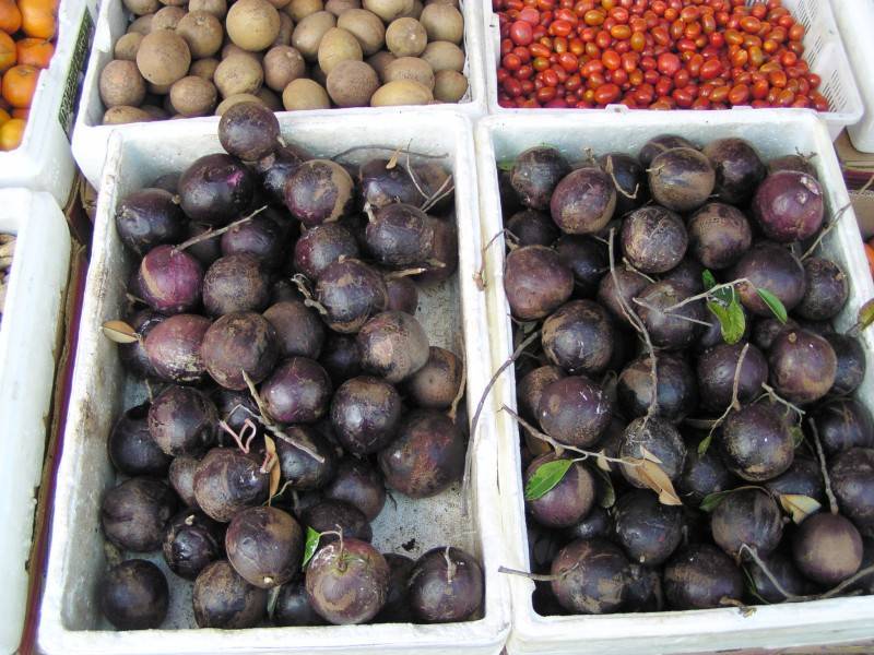 Star Apples