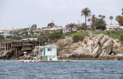 3N-04-Corona del Mar, Bait Barge